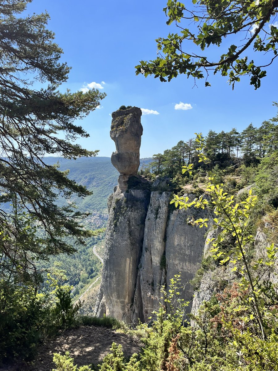 NBurniat's tweet photo. When you raise #thirdculture kids, creating cultural and historical family reference points is essential. For us, one strategy has been going a few times to the #Larzac as I used to do as a child. A remote #France @unesco heritage site, it is a land untamed natural beauty, https://t.co/sQN9E7UWAs