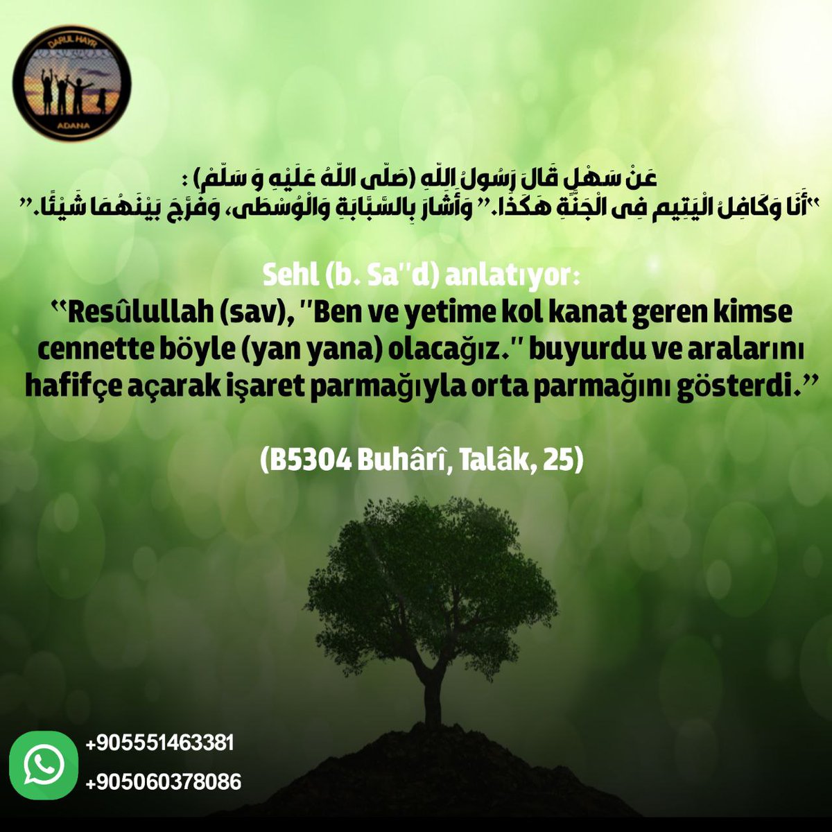 Yetimlerimize ve bacılarımıza sahip çıkalım ihtiyaçlarını giderelim emanetlerimizi yardımsız bırakmayalım...