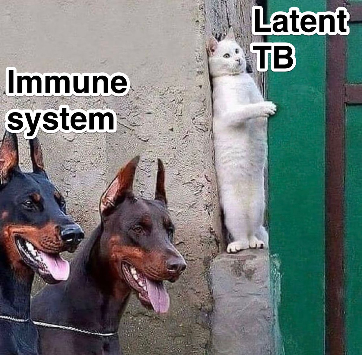 Keith Siau tweet media