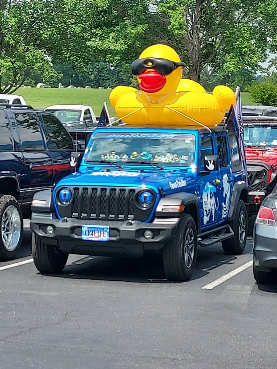 lorihall65's tweet photo. @DakotaLaden @ChelseaLaden @Tanner_Wiseman @Alex_Schroeder4  are you guys back in the Pigeon Forge,TN area? We are being taken over by giant ducks lol https://t.co/gzYm3vosF0