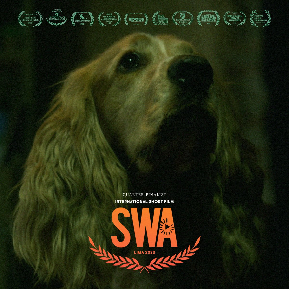 🎖️ "Horror Vacui", de <a href="/Rodeejay/">Javier Farias</a>, quedó como Cuarto Finalista en la categoría International Short Film en el SW Award, un festival audiovisual internacional (organizado por Cibertec) que reúne a cineastas y realizadores de todo el mundo. Se celebró esta semana en Lima [Perú].