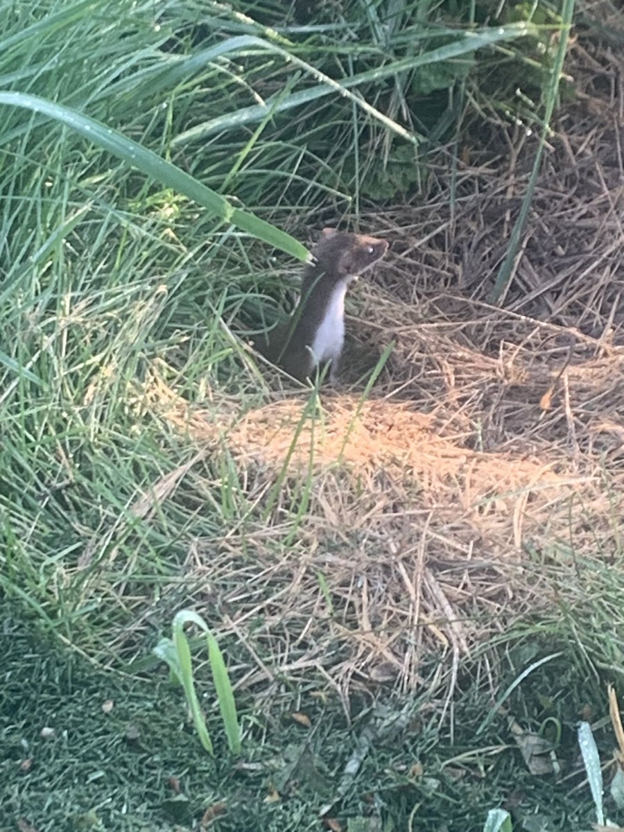 Good morning @todayinontario
<a href="/OntarioGSA/">OGSA</a>