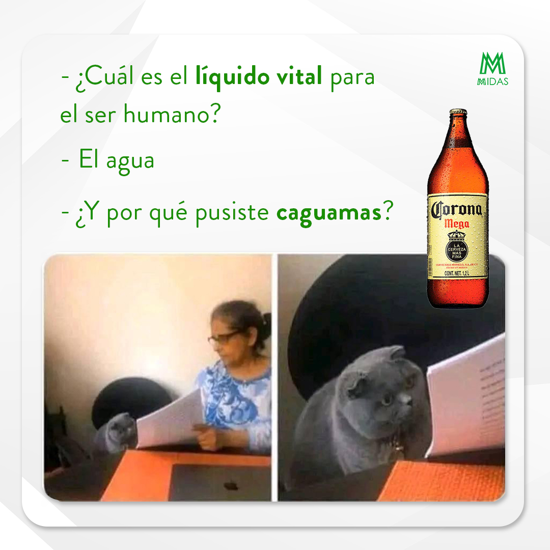 midascash.app tweet media