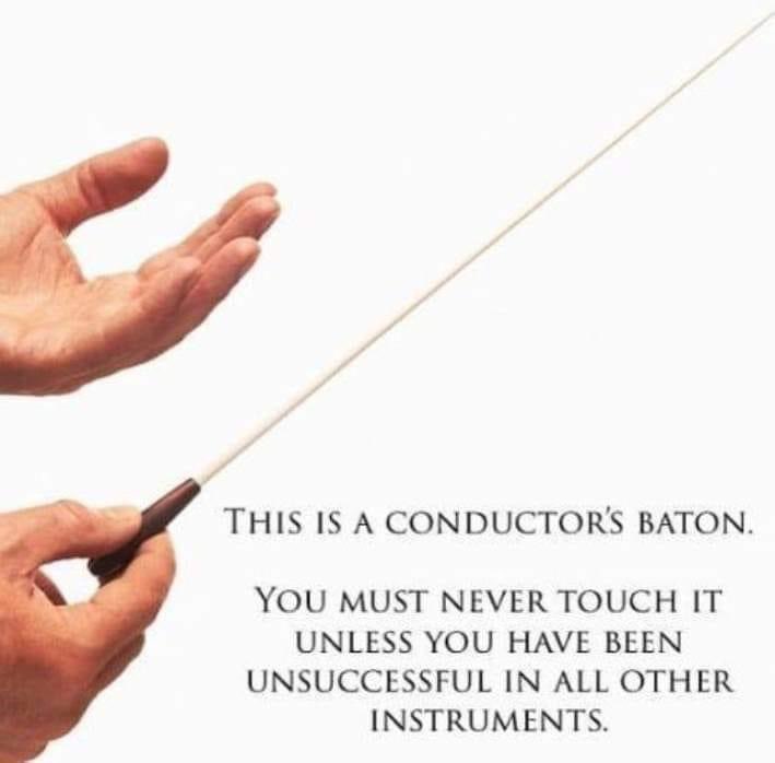 @frasercontra The hierarchical structures many perceive are so misleading in the classical world. There are exceptional musicians at every ‘level’, hidden in every group - opportunities/ luck / circumstances etc all feed in. Couldn’t resist this! 🤣 (Sorry to those with good ‘other’ skills!)