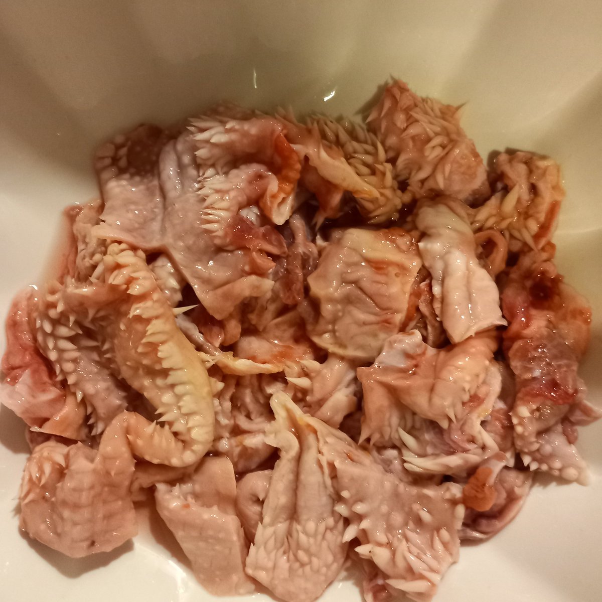 bagdoctor's tweet photo. @naturesmenu 
Hi, I have bought a bag of beef chunks for my dog. It is nothing but compressed blocks of skin and fat and no red meat at all in the packet. My small dog wants some red meat please. And it was £6.50 for the bag made up entirely of rubbish red-meatless bits. Explain! https://t.co/JPfRbxsbaF