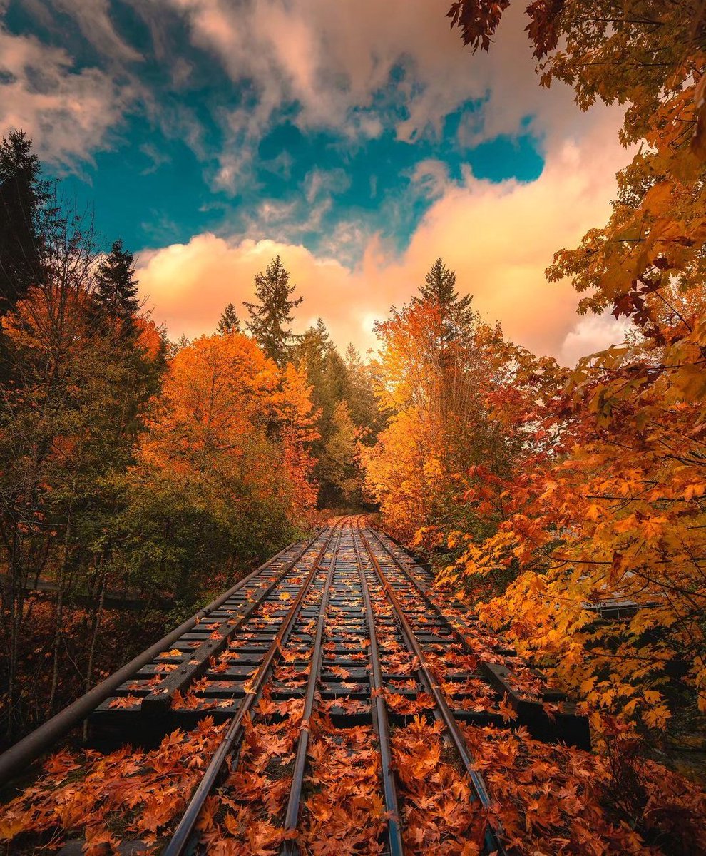 En doğrusunu ancak Allah bilir.
Kalem O'nun,
Kitap O'nun,
Gönül O'nun.