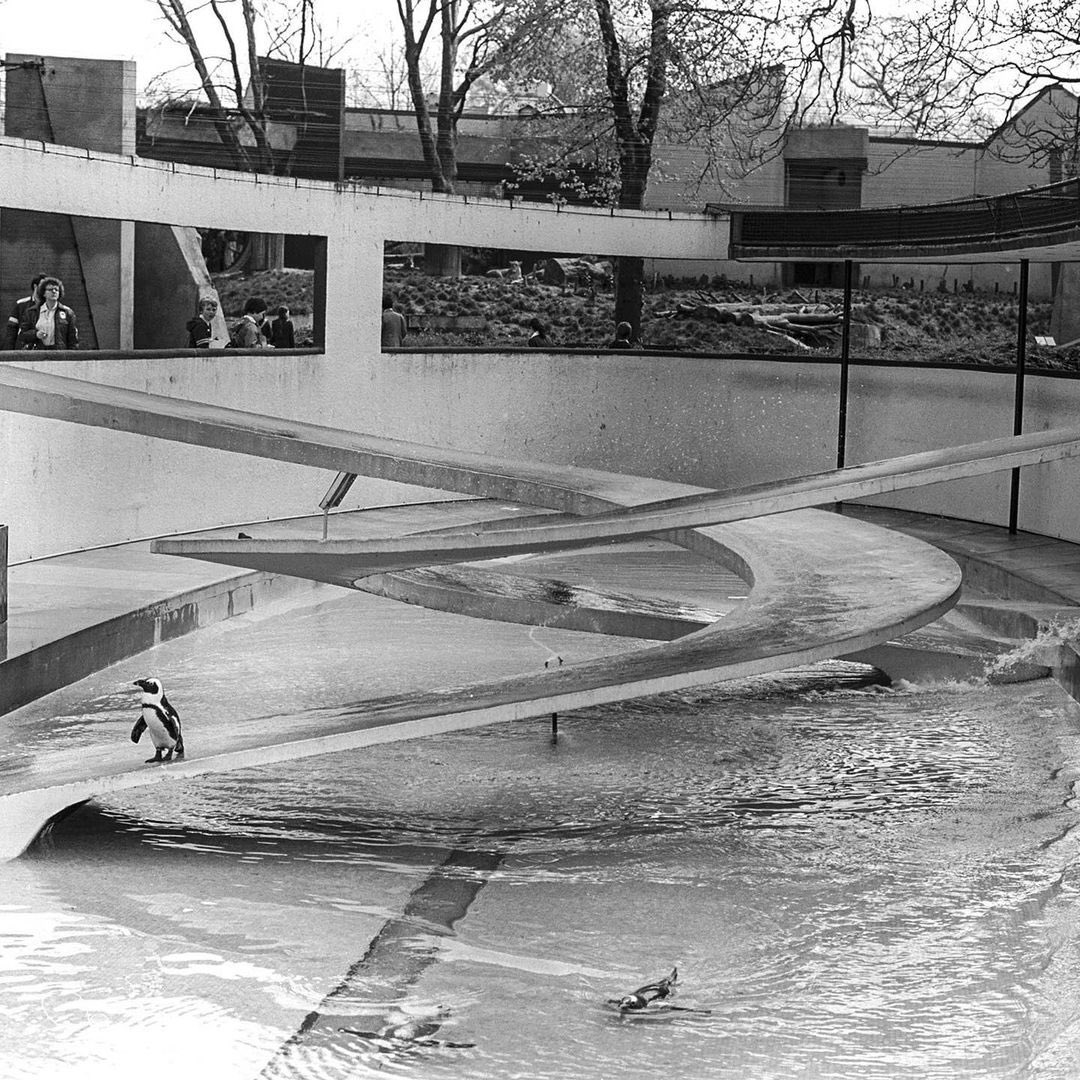 Penguin Pool, constructed in London Zoo, England in 1934, is an inspiring design by a close collaboration between Berthold Lubetkin and Ove Arup. They created a structure that was at once a shelter for animals, an aquatic sculpture, and a notable accomplishment of engineering. It