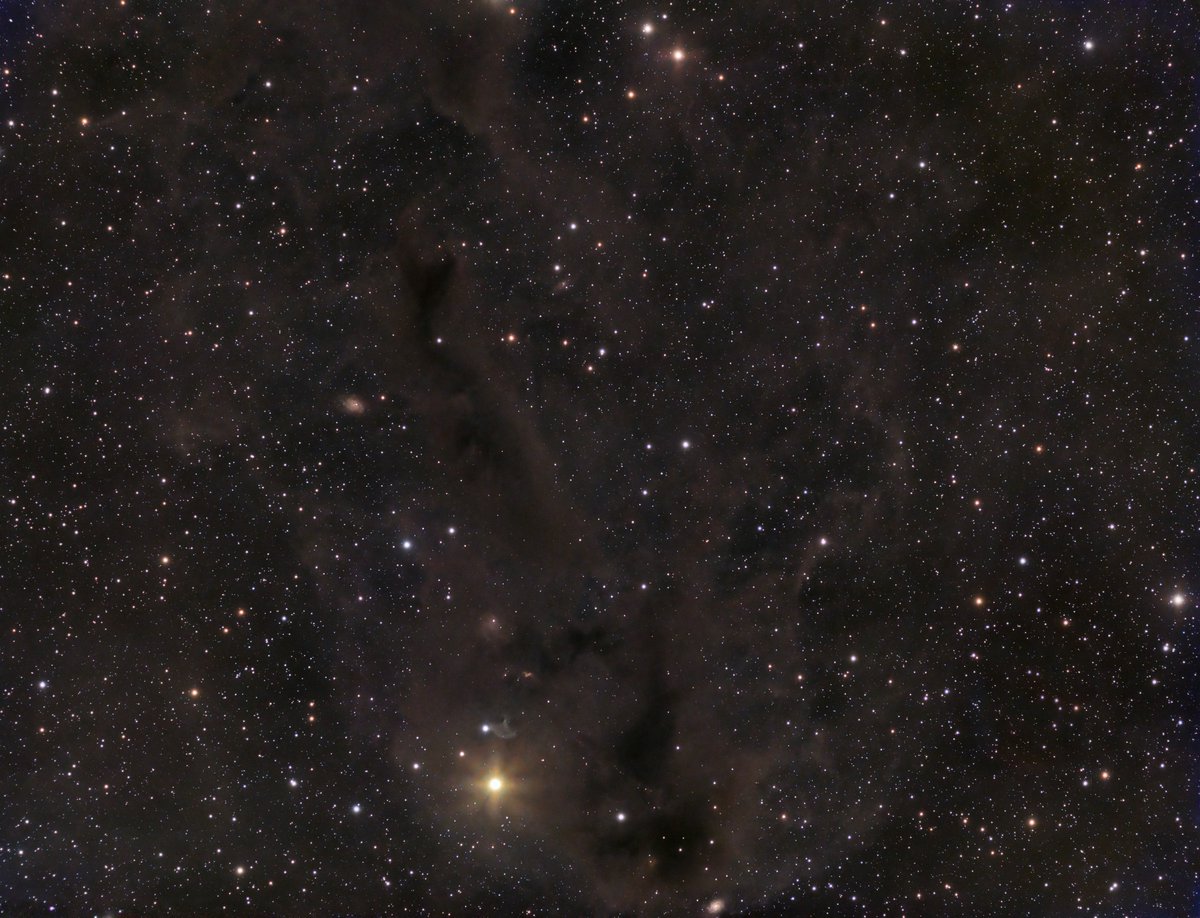 LDN 1251 is a dark nebula found in a faint glowing molecular cloud.

instagram.com/astroquest1/
astroquest1.blogspot.com
astrobin.com/users/kurtzepp…
youtube.com/AstroQuest1