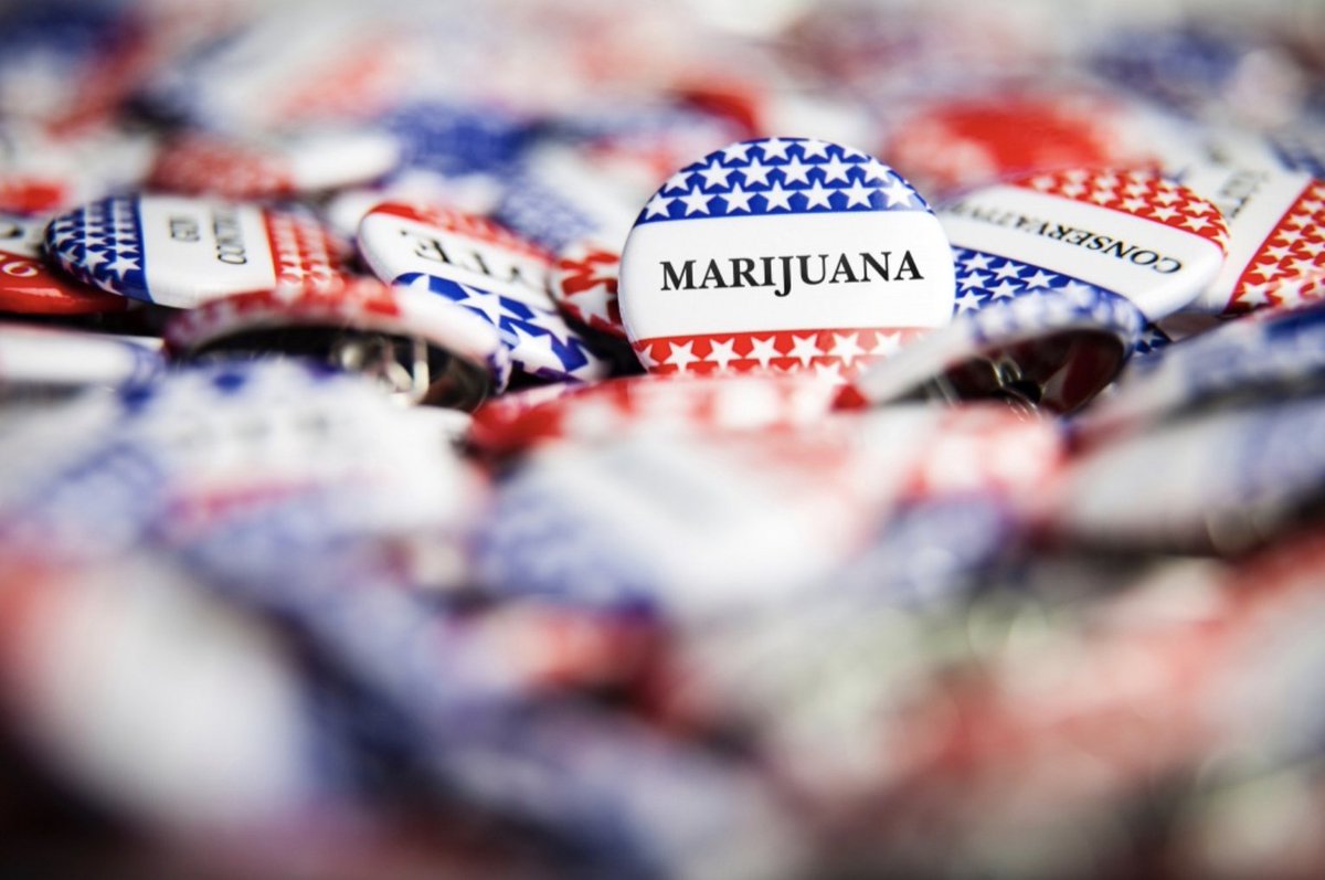 2024 GOP presidential hopefuls and weed: Because nothing says 'running for office' like running the debate on whether to legalize or just decriminalize the 'joint' effort. Let's blaze a new trail in politics! <a href="/rachelle_g420/">Rachelle Gordon</a> 🌿🏛️ #BurningDebate