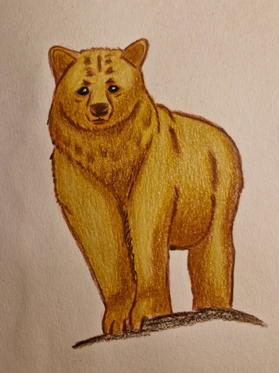 🐻💗

#sketchbook #coloredpencil #illustration #kidlitart #artistson