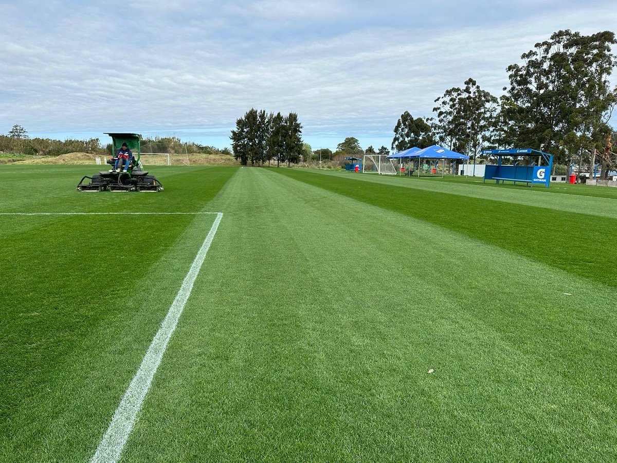 PastureGenetics's tweet photo. El raigrás perenne de césped GREENLAND de @SemillasFitoTG empuja y se luce de la mano de especialistas atentos a las buenas prácticas. Varios ejemplos de canchas de fútbol ⚽️ y rugby 🏉 de clubes que nos eligen.
Gracias por confiar en @PastureGenetics https://t.co/ZsUBmBIjUG