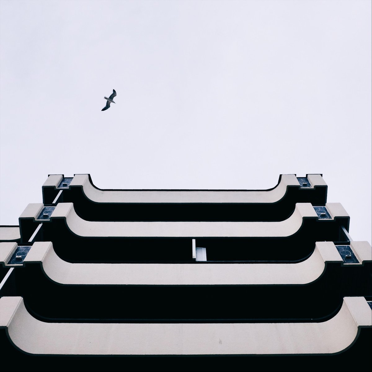 CartesianDivers's tweet photo. new single 

"no worries if you've already made other plans"

out nowwwwwww https://t.co/Wqa4bxSH2v