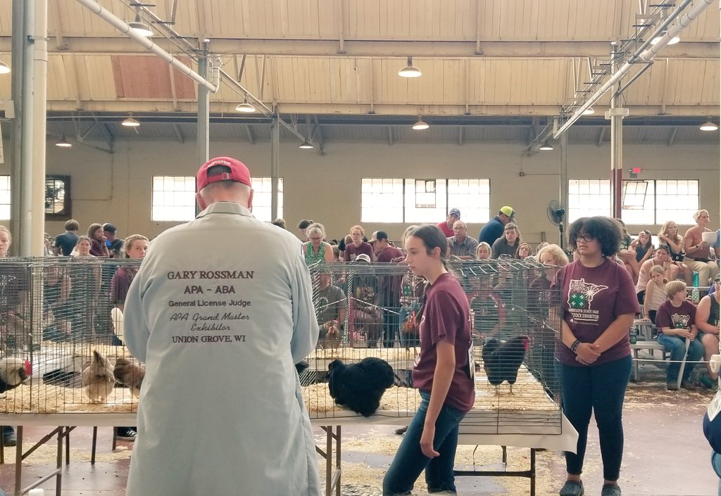 I love watching the judges as they take time with each 4-H'er to learn from and teach youth in ways that help them grow in their project areas. 🍀🐓
<a href="/MN4H/">Minnesota 4-H Youth Development</a> 
#mnstatefair 
#Day1
#PoultryShow 
#YouthLearning 
#YouthLeadership
#ExperientialLearning