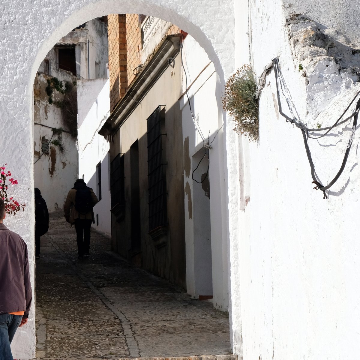 𝑫𝒆𝒋𝒂𝒓 𝒒𝒖𝒆 𝒆𝒍 𝒗𝒊𝒆𝒏𝒕𝒐 𝒆𝒏𝒕𝒓𝒆 𝒍𝒂𝒔 𝒎𝒂𝒄𝒆𝒕𝒂𝒔 𝒔𝒊𝒍𝒃𝒆 𝒑𝒐𝒓 𝒕𝒂𝒏𝒈𝒐𝒔.

🔗 pueblosblancosdecadiz.es/arcos-de-la-fr…
#DescubrelosPueblosBlancos
📌 Arcos de la Frontera
📸 Simon