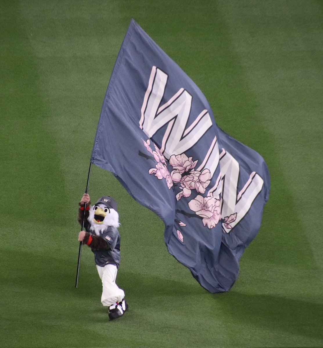 TalkNats's tweet image. Nats win! Nats win! Nats win the series for Stone Garrett and Stephen Strasburg.