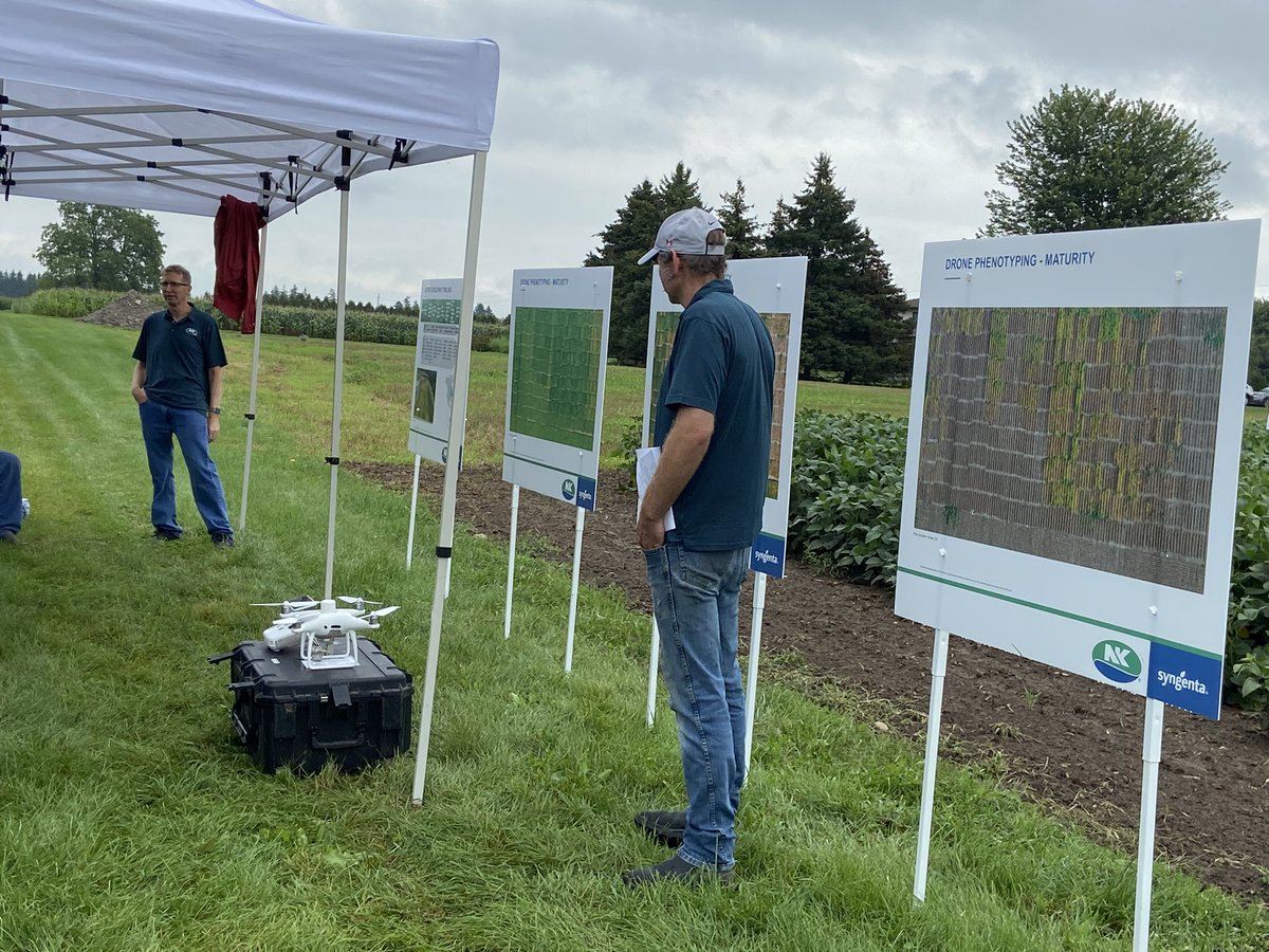 NK® Seeds Canada tweet media