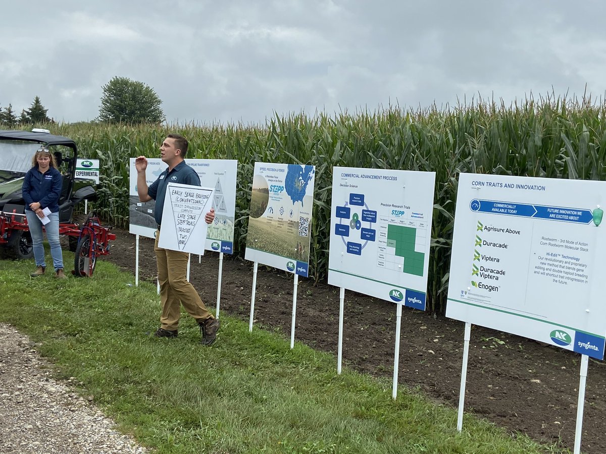 NK® Seeds Canada tweet media