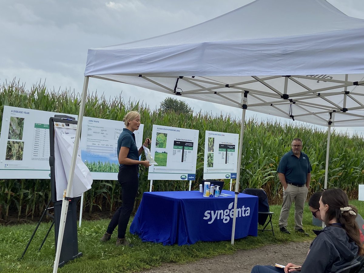 NK® Seeds Canada tweet media