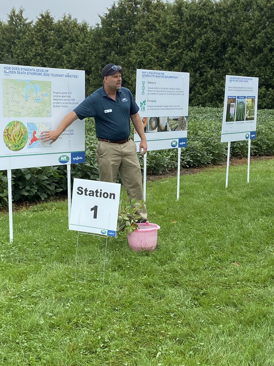 NK® Seeds Canada tweet media