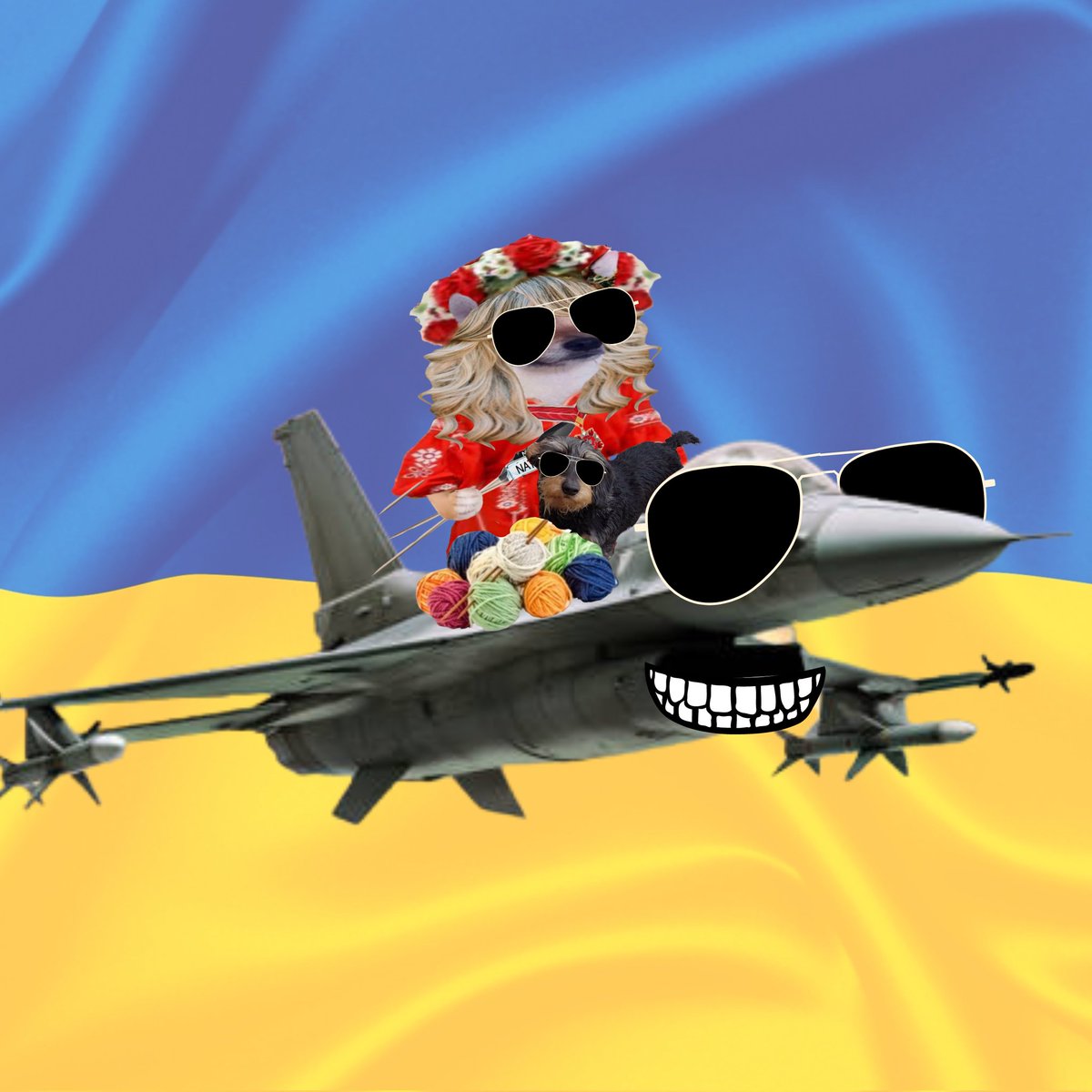 bopandy1's tweet photo. @NAFOfellaLotte Here you go fellas! Looking  good! 😎🫶🇺🇦 #WingsForFreedom https://t.co/yyXzbPIWfO