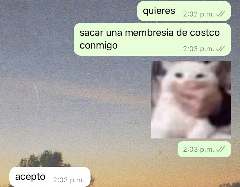 Andrea (@andreamedrey) on Twitter photo 