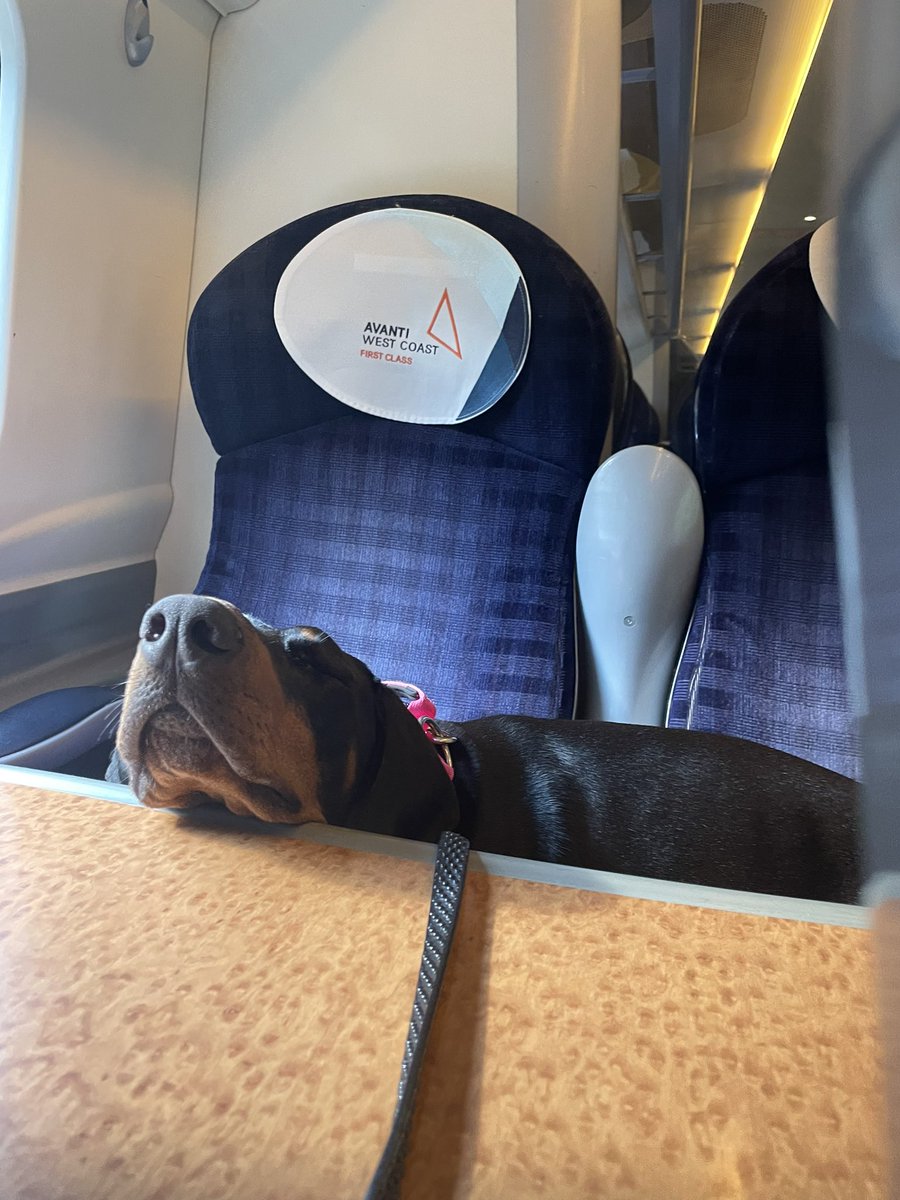 StaceyMcCann79's tweet photo. @AvantiWestCoast know you don’t always get the best press but; would like to thank you for the fabulous service for myself and my dog MAN-EUS 23/08 and EUS-MAN 24/08 
She gives you 5 ⭐️ https://t.co/n9YCoEZBXF