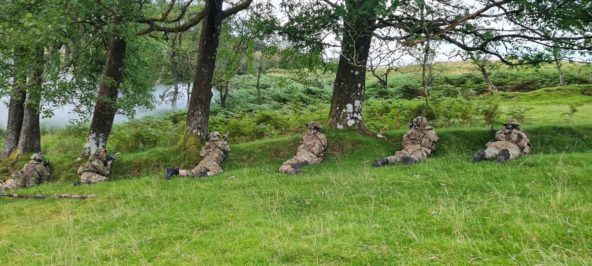 D Company LNR ACF tweet media