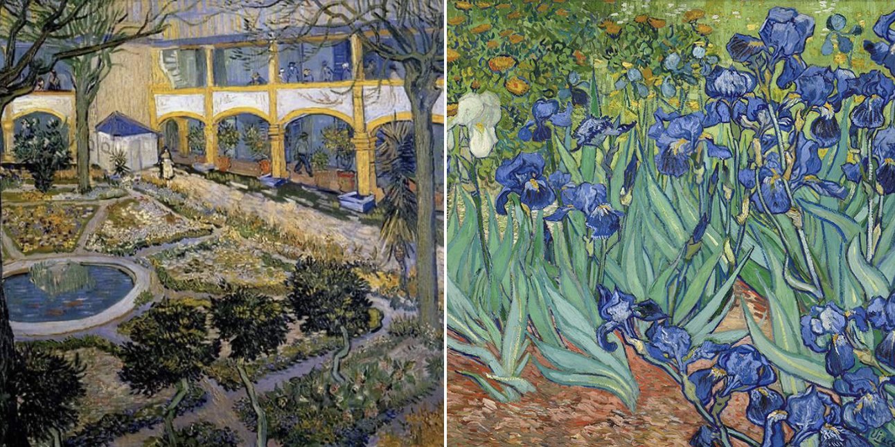 Untold Van Gogh on X: The garden at San Remy was a place of