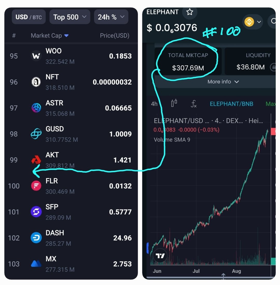 MariusVogel's tweet image. The #GateKeepers is doing their utmost to keep the @ElephantStatus in the room! It's a disgrace how @CoinMarketCap  &amp;amp; @coingecko refuse to fix their metrics even though multiple requests have been submitted! Keep your eyes on this one peeps, this top 100 is about to melt faces!
