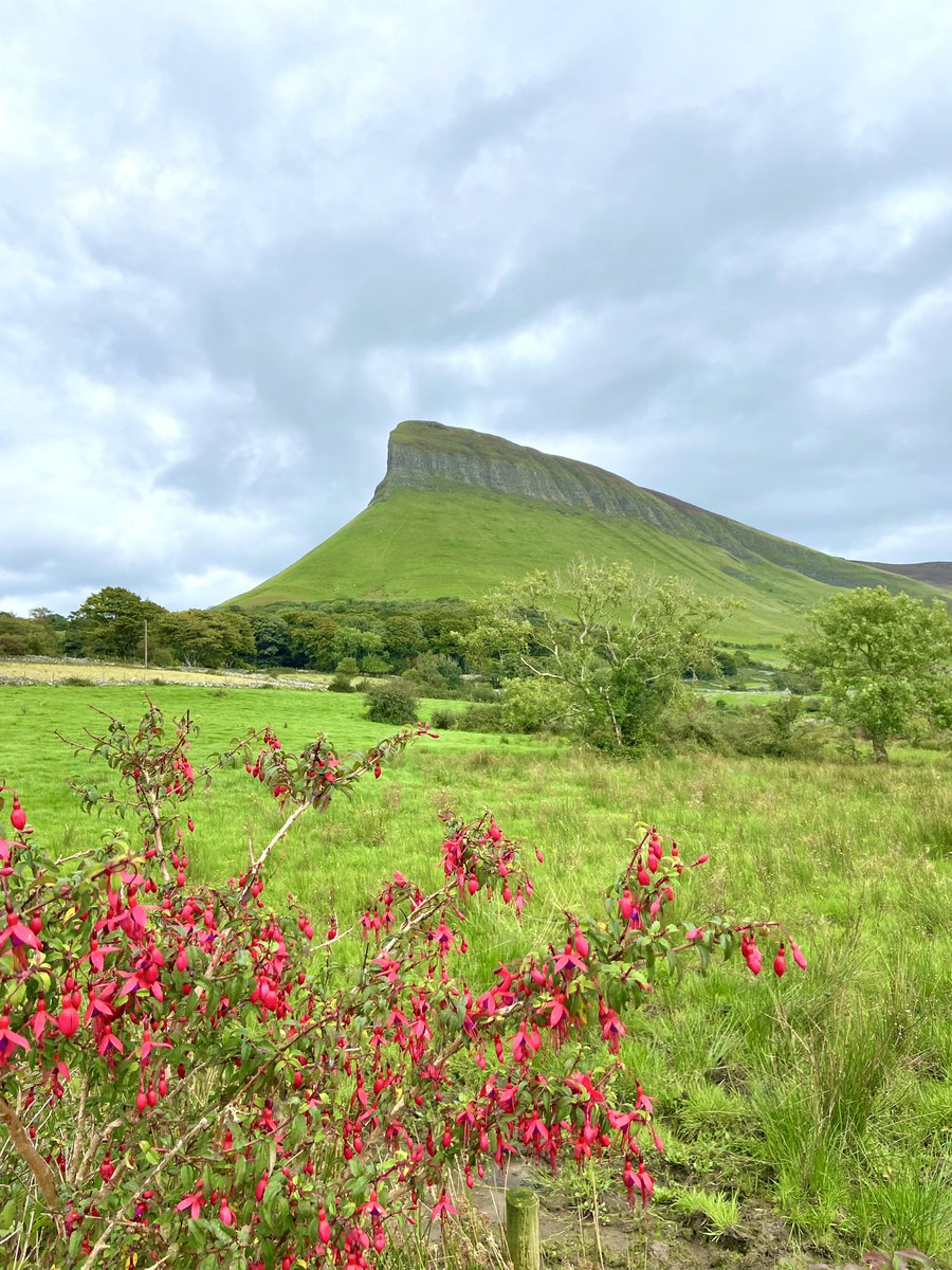 Several small walks today took me from Mayo to Donegal, via the legendary Benbulbin in Sligo. #NursesActive #ImperialActive

☘️ Wild fuschia
☘️ Seafood chowder
☘️ Wee pint of the black stuff 
☘️ Yeats’ country