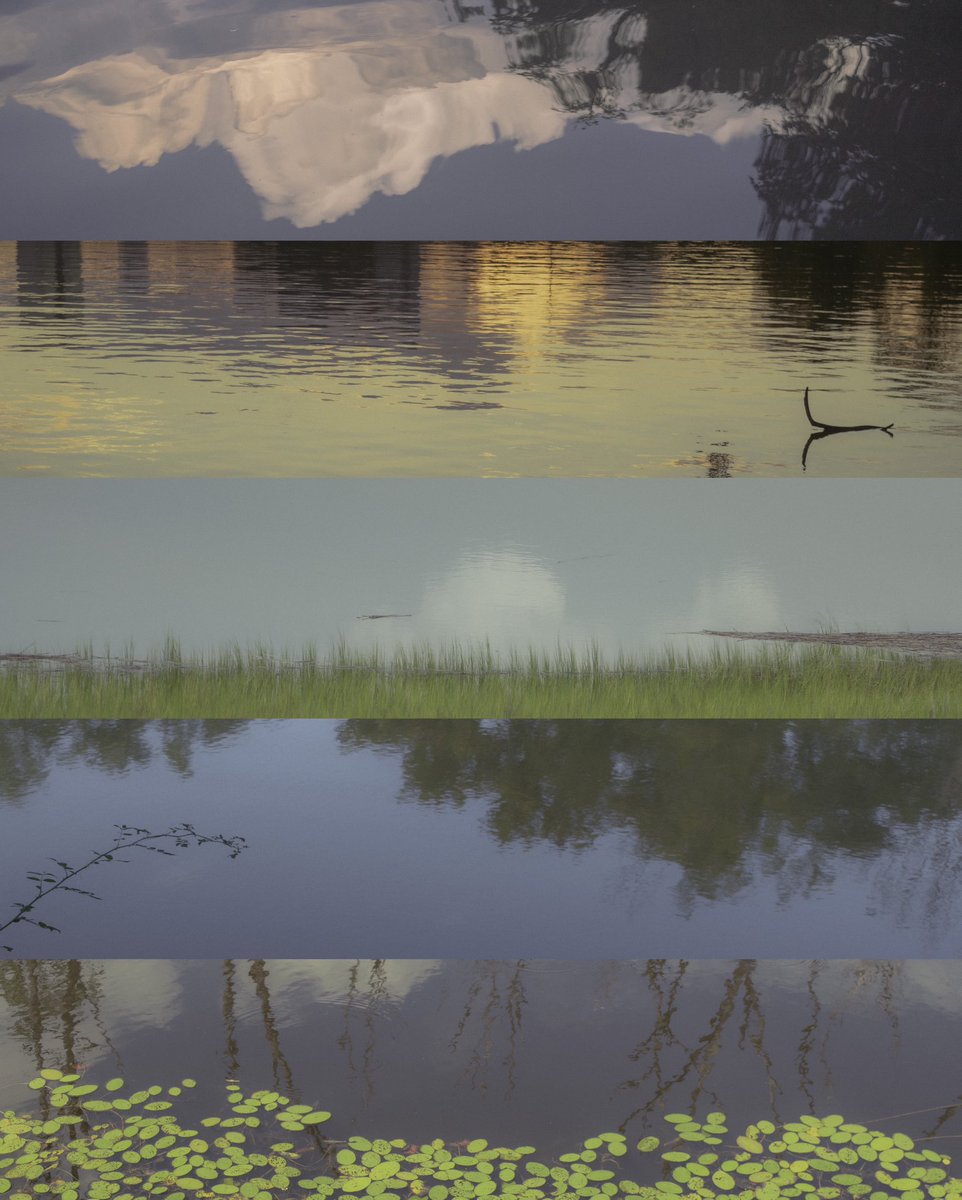 jonathanvinsonn's tweet photo. water reflections https://t.co/m7VtoTZer3