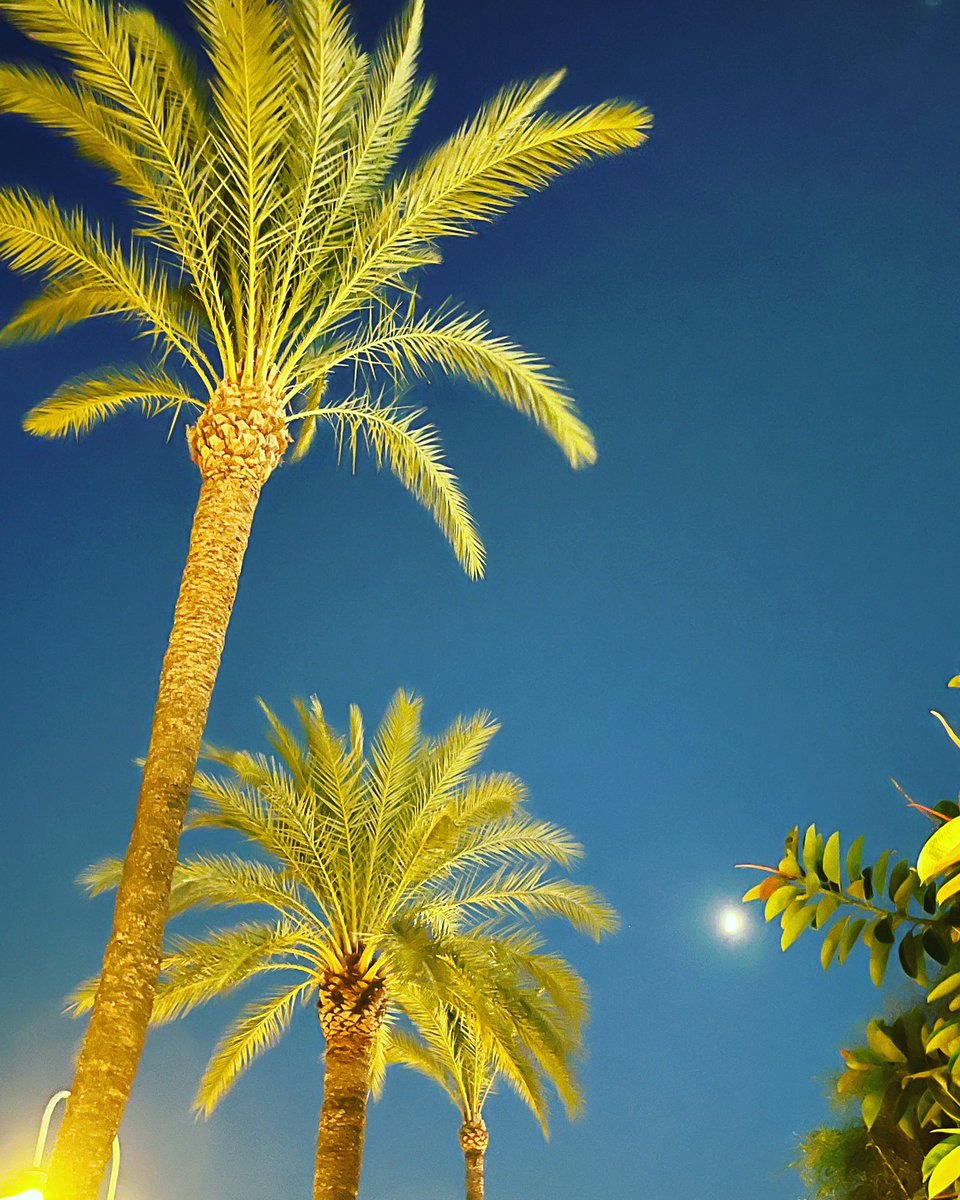 andytheedom's tweet image. Javea by night … #spain #coast #thursdayevening