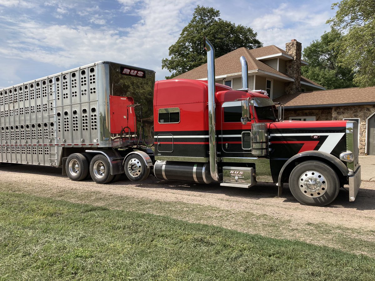 KornKattle's tweet image. Kid got a new whip just in time for the #fallrun. I think I like it. #pavementprincess