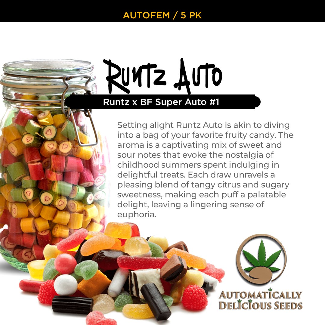 AutoDelish's tweet image. This autoflowering strain promises an engaging cultivation journey and a consuming experience filled with unique flavors and a balanced high: bit.ly/auto-delish-se…

#Cannabis #CannabisCommunity #cannabislife #420friendly #cannabisgrowers #seedsherenow #autodelish