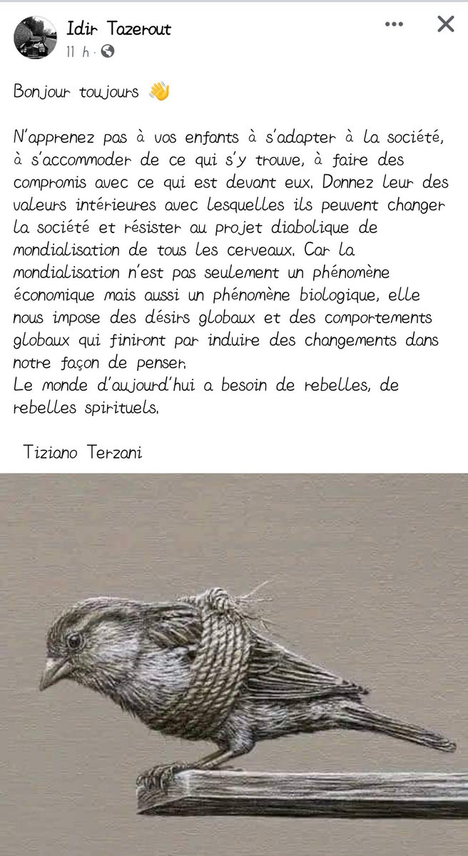 #mondialisation #IA #Algerie