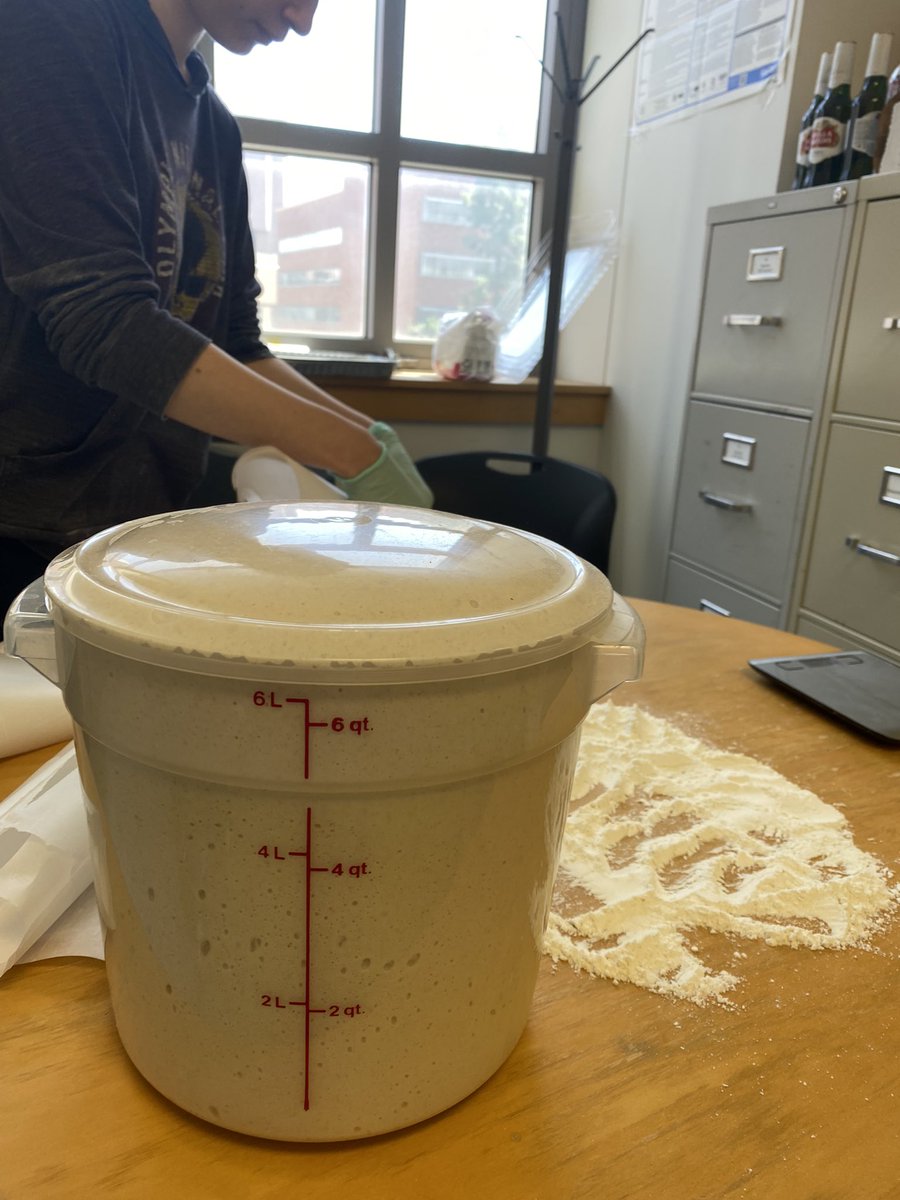 chantlephd's tweet photo. Bring your dough to work day (Kruglyak lab #sourdough pizza party tomorrow) https://t.co/zk5Rn8grNB