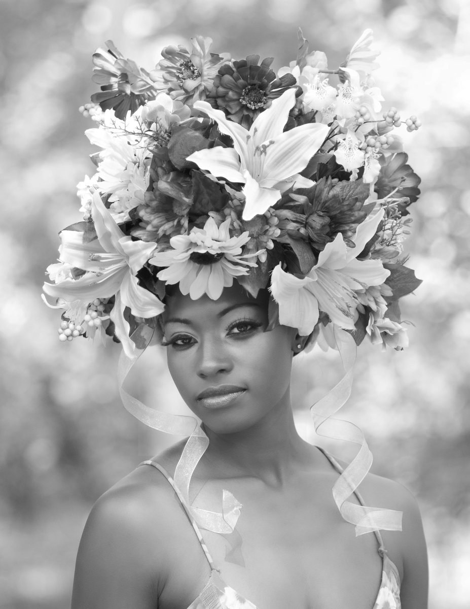 Adrian Michael | Photographer tweet media