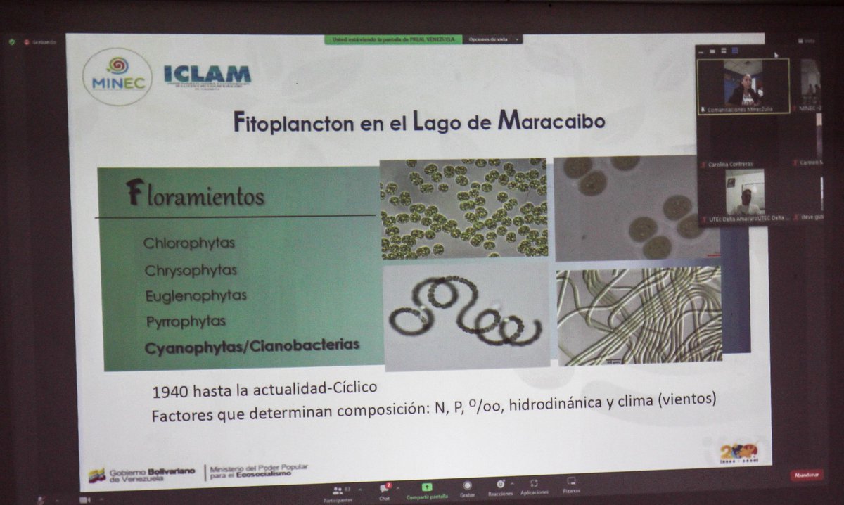 #AlDía🌱|| Cumpliendo con las instrucciones del Pdte. <a href="/NicolasMaduro/">Nicolás Maduro</a>, desde las instalaciones del #Minec, el Equipo de Gestión Ecosocialista efectuó una videoconferencia en apoyo al Plan Maestro para el Rescate,  Conservación y Desarrollo Sostenible del Lago de Maracaibo.