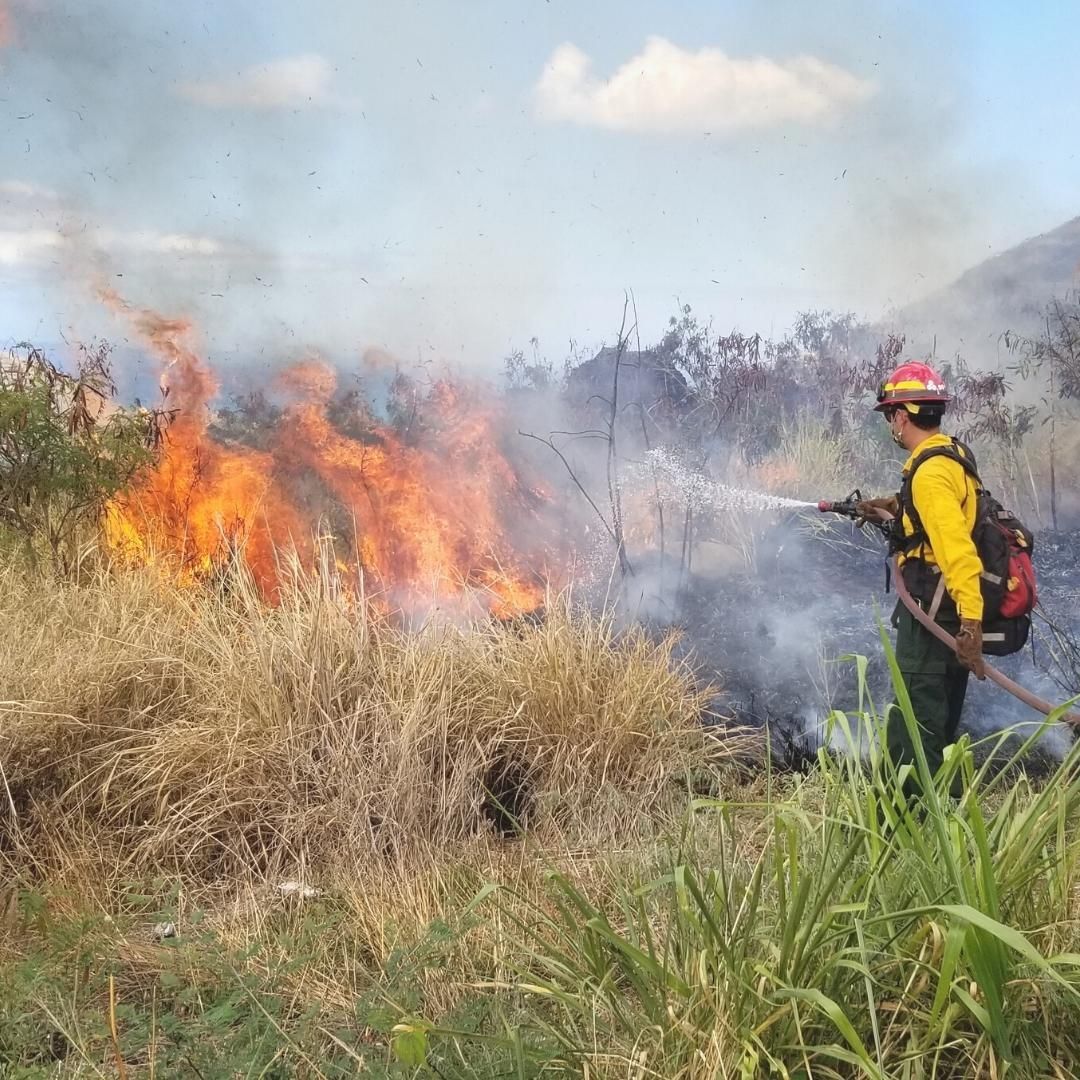 "We can fix this. Wildland #fires are not like other natural perils like earthquakes, hurricanes, tornados; we can control it on a localized basis, we see it all the time. We do know how we can #prevent these disasters."  ~Pat Durland, our board member.

revkin.substack.com/p/lessons-for-…