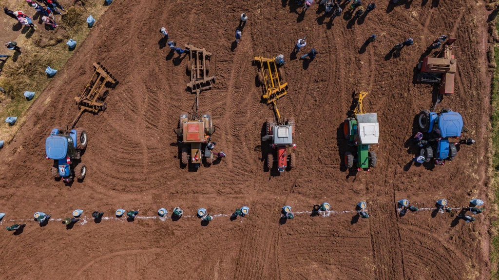 NellyParedesDC's tweet photo. Además, desde @agroruralPER impulsaremos el mejoramiento del piso forrajero, brindando capacitación y asistencia técnica, así como la dotación de semillas de calidad. https://t.co/SRnc81zlSp