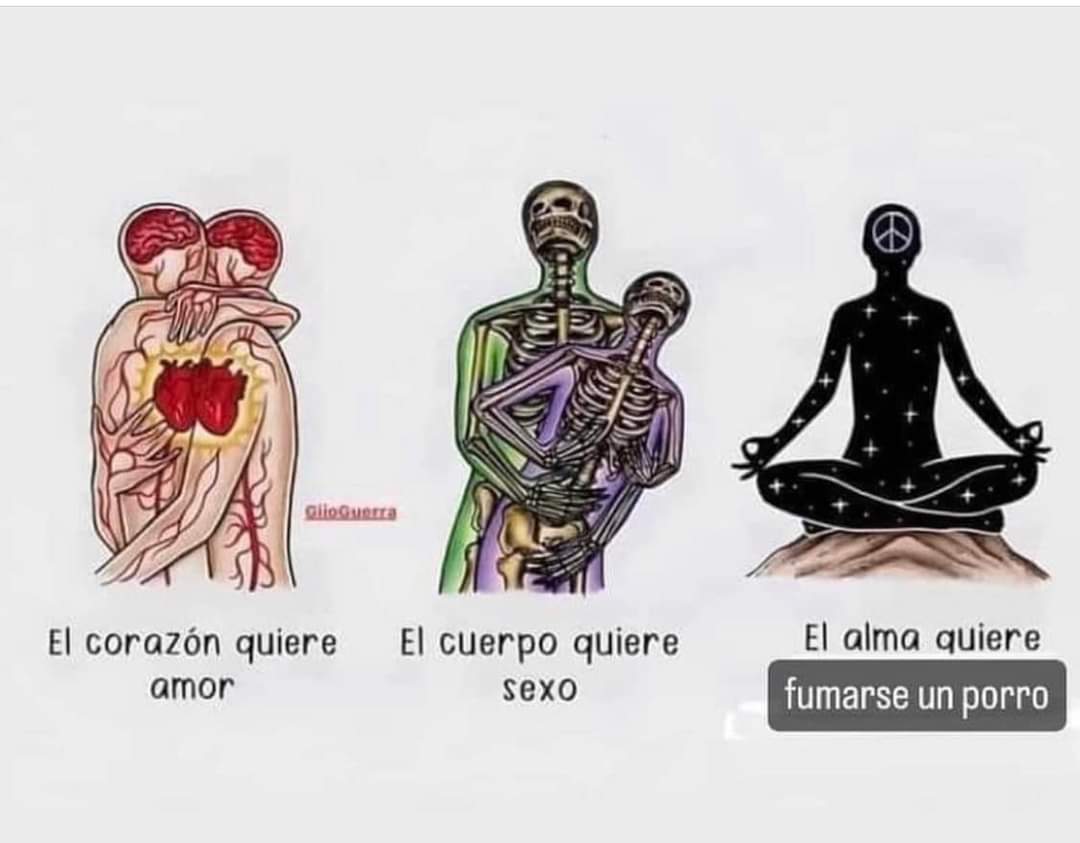 El alma quiere fumarse un porro ✨️