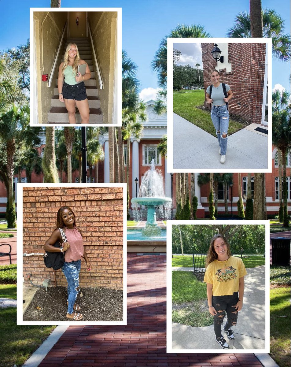 Stetson Softball tweet media
