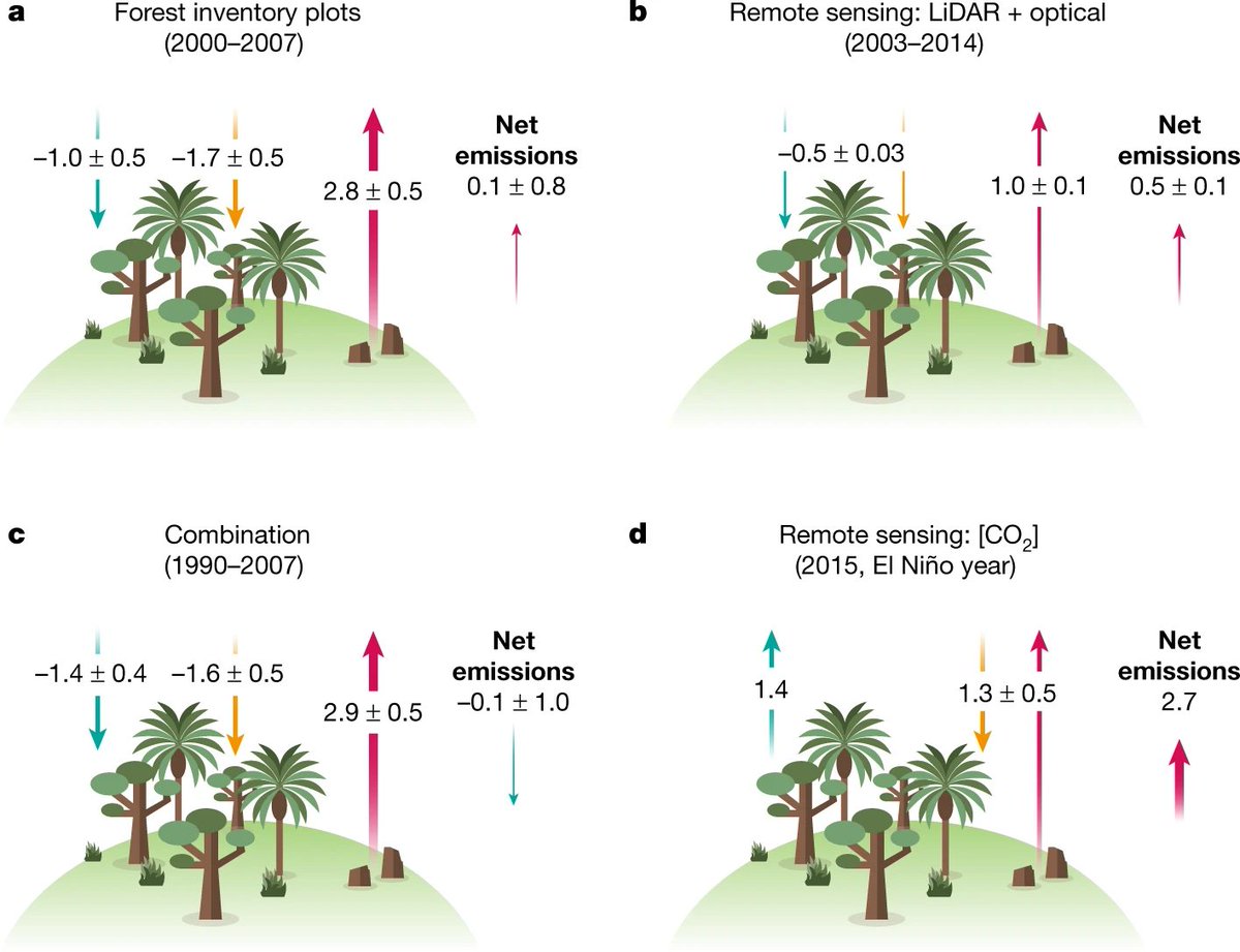 In 2018 I wrote a review paper in Nature on the impact of climate change on tropical forests (nature.com/articles/s4158…, subscription-free rdcu.be/3vsw)

I said that tropical forests were once a carbon sink, reducing climate change, but would soon be a carbon source 1/5