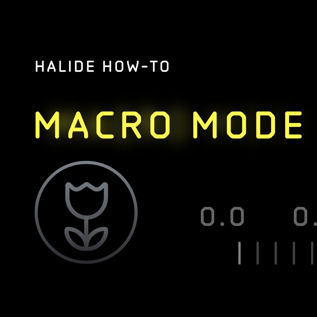 halidecamera's tweet photo. 🆕 A new home for all our apps, how-to's and our favorite pics: we're now also on Threads: https://t.co/VmG8KaGMxH https://t.co/InIZZsXeIz
