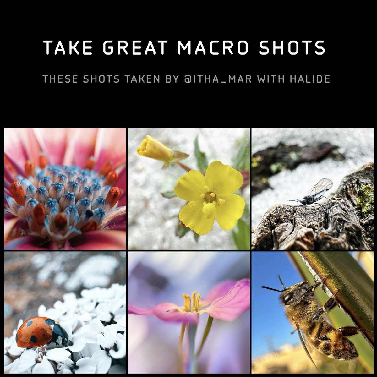 🆕 A new home for all our apps, how-to's and our favorite pics: we're now also on Threads: threads.net/@halideapp/pos…