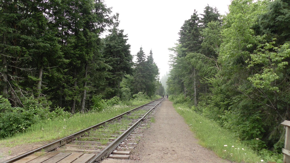 Before the fireworks started, there was no better way to celebrate Canada's 150th birthday than taking a tour train out to the wilds of the north. I quite like this shot, which I call 'Road to Agawa'.

#art #photography #Canada #Ontario #NorthernOntario #AgawaCanyon #train…