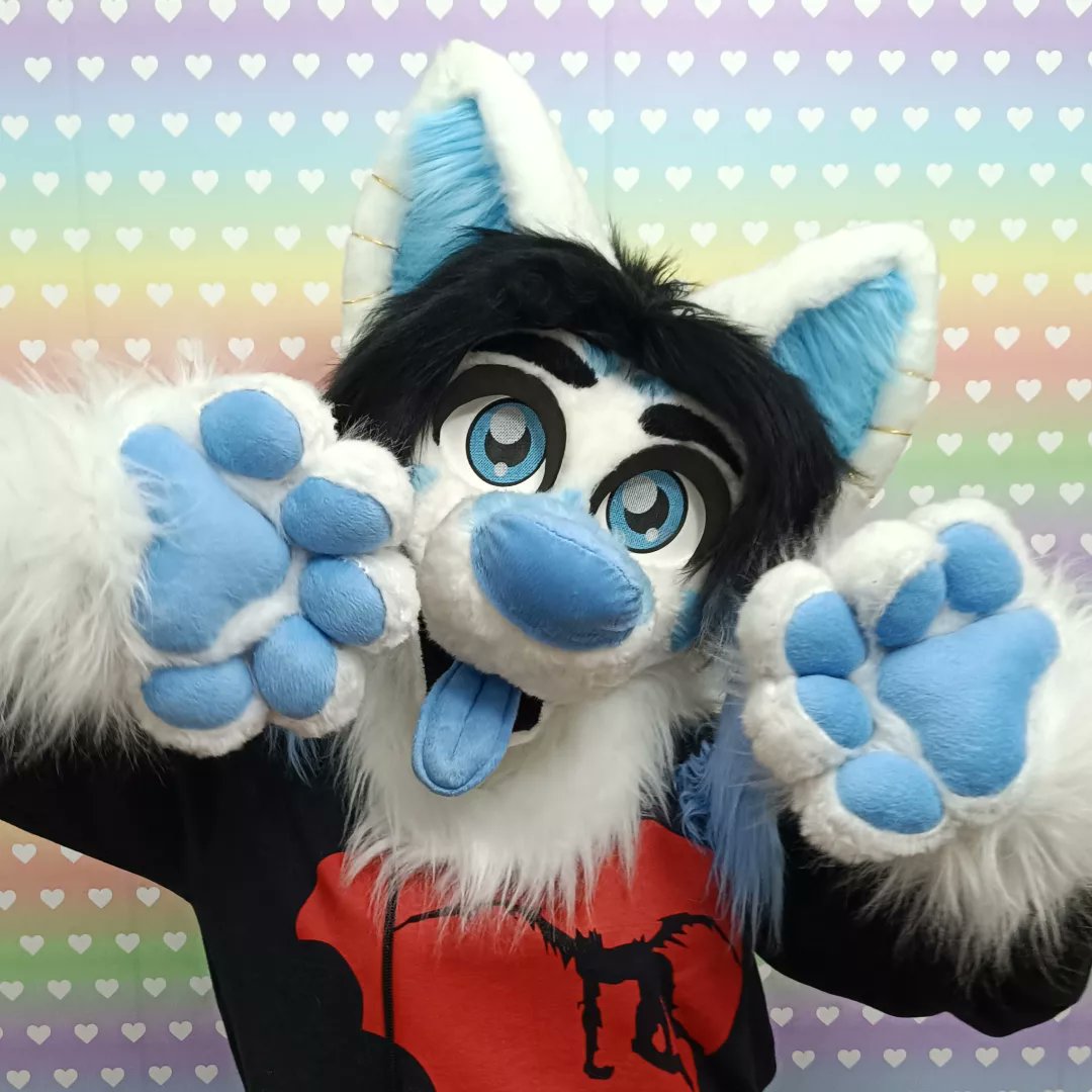 FursuitsPrisma's tweet photo. Samuel the artic fox 💙
#fursuitmaker #furryfandom #furrybr #fursuitdog #fursona #furrypaws #fursuiter #fursuit #fursuitwip #fursuiting #furries #fursuitfriday #furry #furrybrasil #furryfox https://t.co/j0enSc5oRG https://t.co/WzlImNzP39