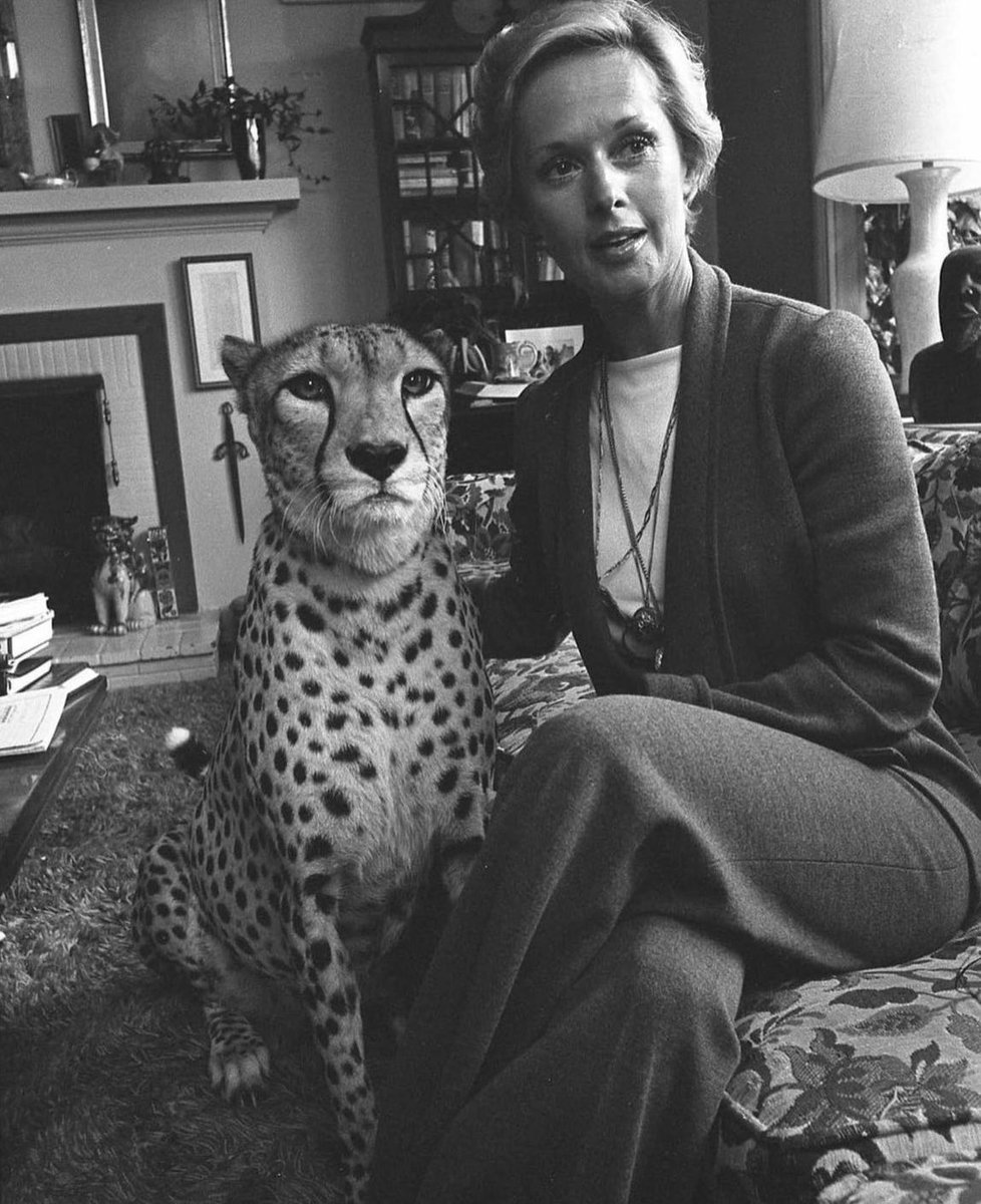 In 1974, Tippi Hedren, the iconic Hollywood actress, found herself in a rather unique and exotic situation. While most people unwind at home with a cat or a dog, Tippi Hedren had a different companion by her side – a pet cheetah.

This unusual pairing captured the imagination of