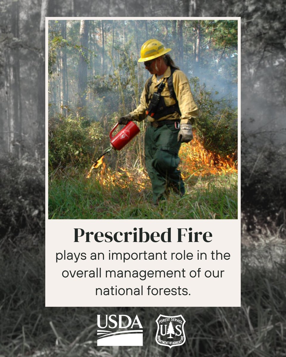 Reducing hazardous fuels protects communities, infrastructure and forest from high-severity wildfires. #2023FireYear #PrescribedFire