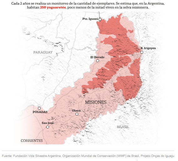 ¿Cuántos yaguaretés hay en el país? 🐆 

Según el último monitoreo poblacional de <a href="/Vida_Silvestre/">Fundación Vida Silvestre 🇦🇷</a>, <a href="/wwfbrasil/">WWF-Brasil</a>, <a href="/proyaguarete/">Proyecto Yaguareté</a> y grupos de investigadores, se estima que hay 250 yaguaretés en la Argentina. Hace tiempo están peligro crítico de extinción.

👉lanacion.com.ar/sociedad/un-in…